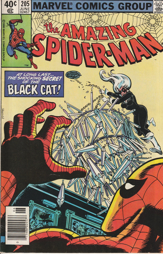 AMAZING SPIDER-MAN #205 - MARVEL COMICS - JUN 1980 (6.5)