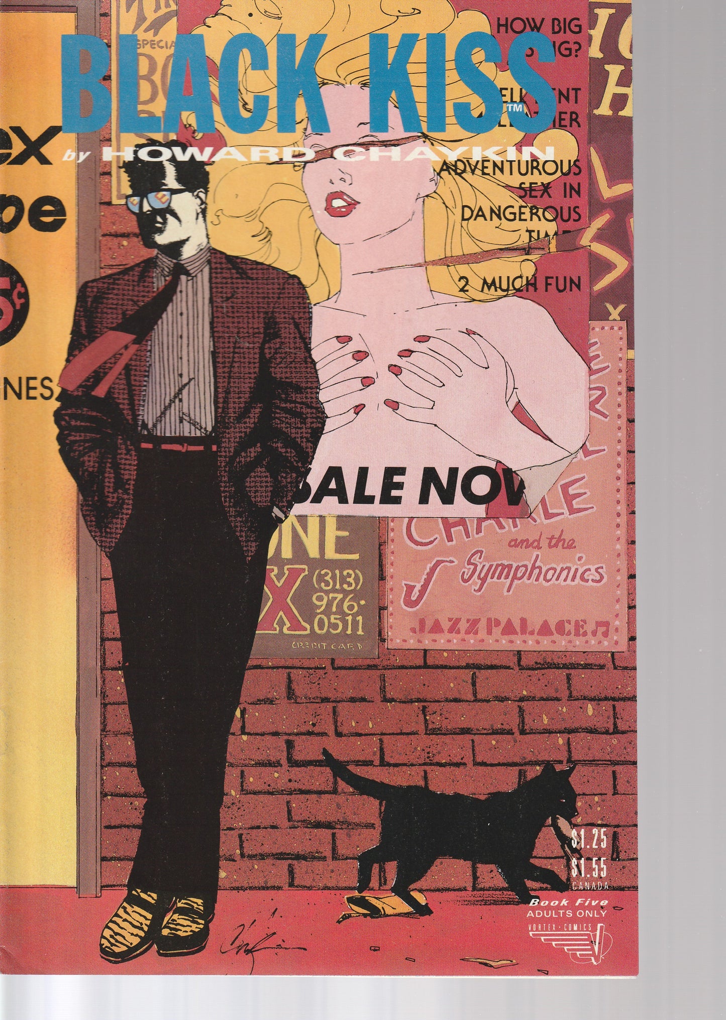 BIG BLACK KISS 1-12 plus BONUS BOOKS * COMPLETE SET * HOWARD CHAYKIN