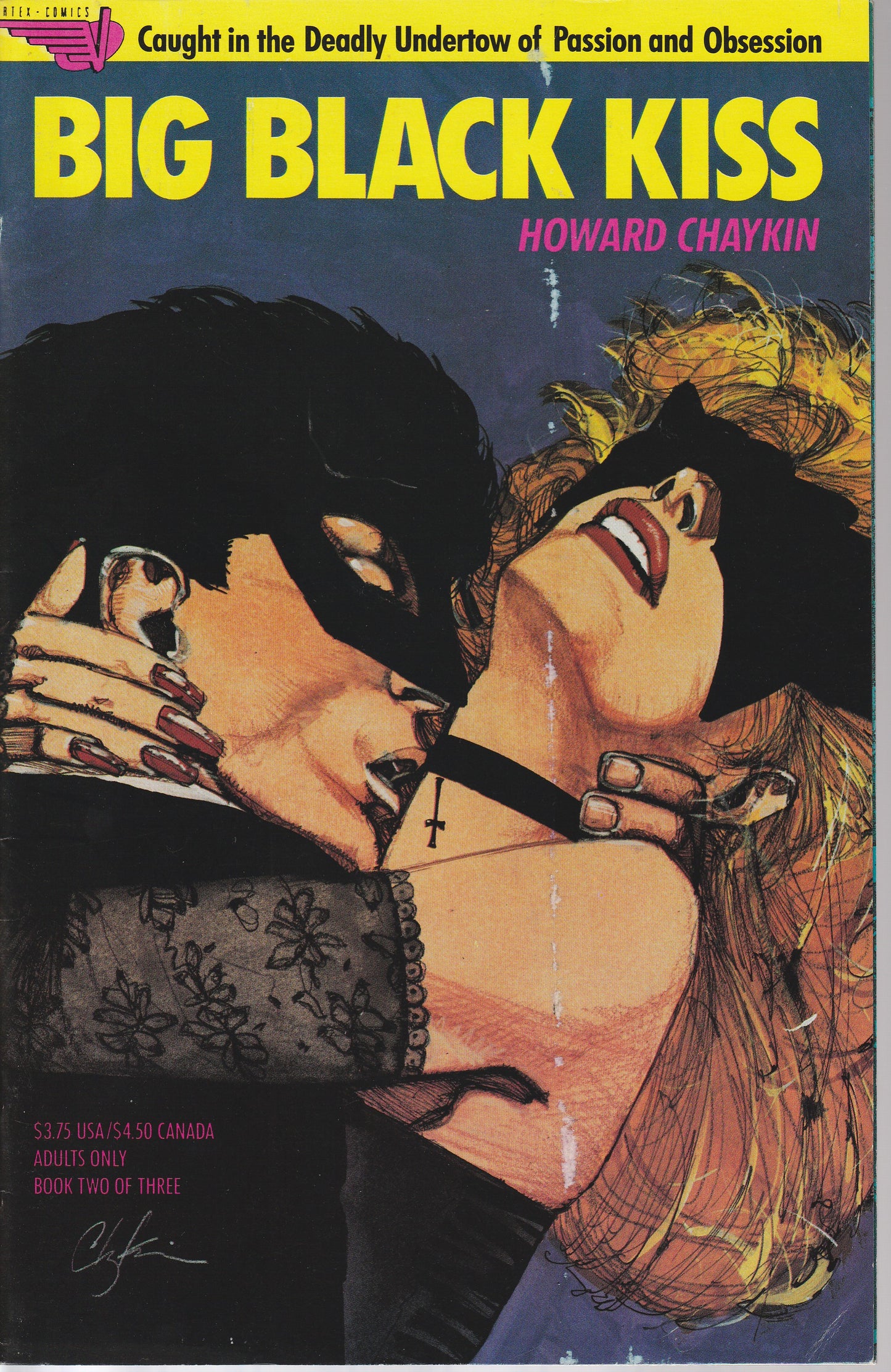 BIG BLACK KISS 1-12 plus BONUS BOOKS * COMPLETE SET * HOWARD CHAYKIN