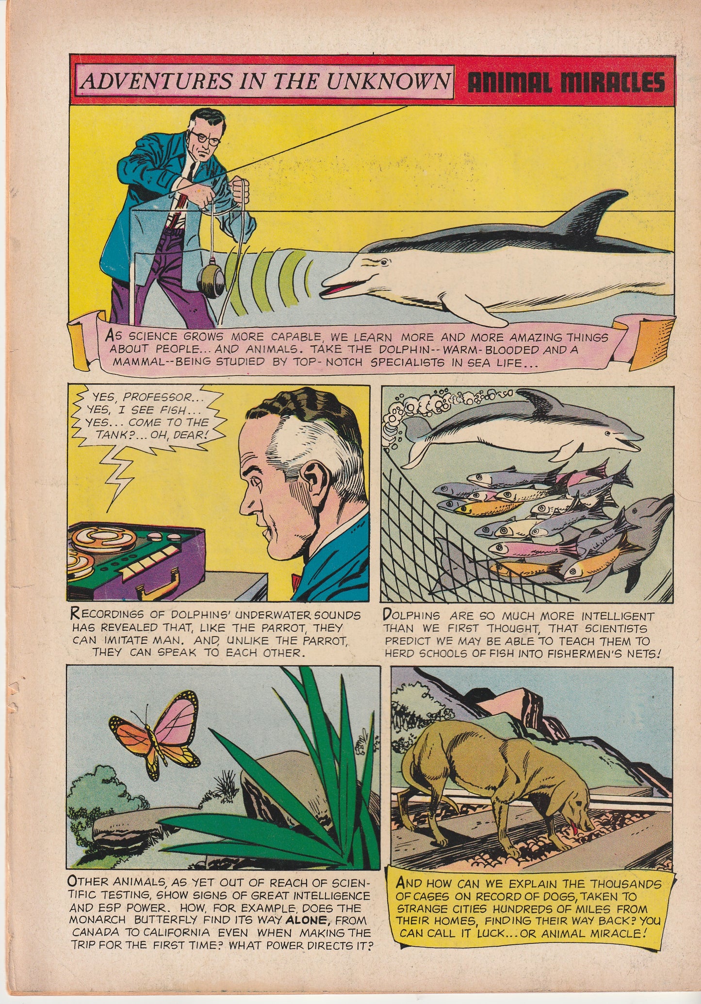 FOUR COLOR #1330 || DELL COMICS || APR 1962 || (5.5-6.0)