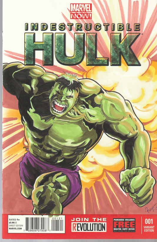 INDESTRUCTIBLE HULK #1 || 1 of 1 ARTIST SKETCH COVER